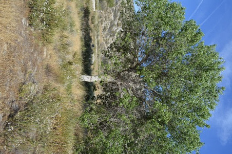 Enlarge photo 33