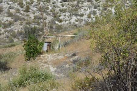 Enlarge photo 32