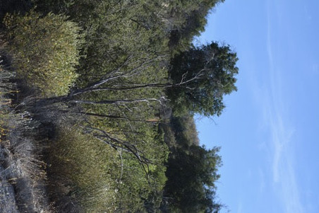 Enlarge photo 31