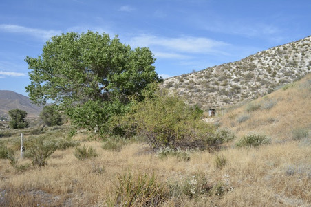 Enlarge photo 30