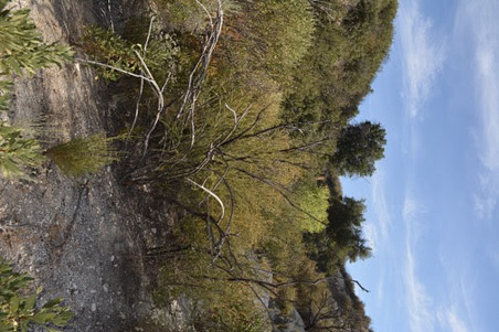 Enlarge photo 29