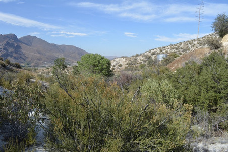 Enlarge photo 28