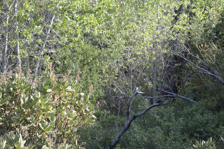 Enlarge photo 27