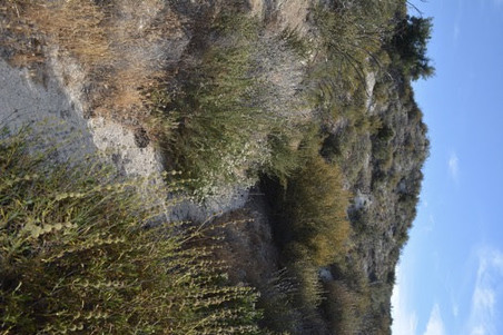 Enlarge photo 25