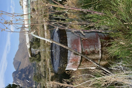 Enlarge photo 24