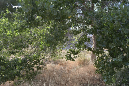 Enlarge photo 23
