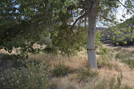 Enlarge photo 22