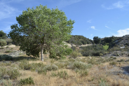 Enlarge photo 21
