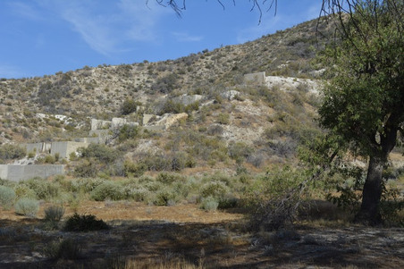 Enlarge photo 20