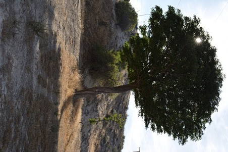 Enlarge photo 19