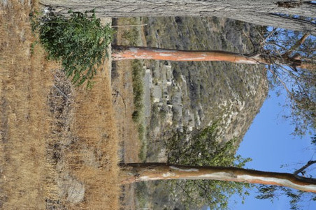 Enlarge photo 18