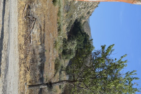 Enlarge photo 17