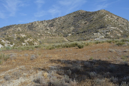 Enlarge photo 16
