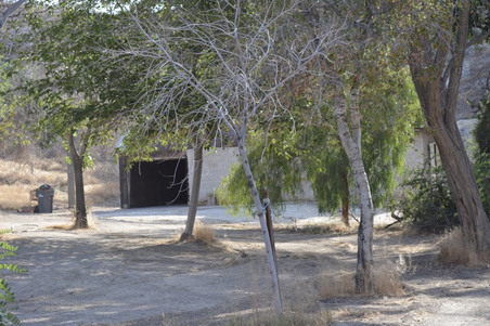 Enlarge photo 14