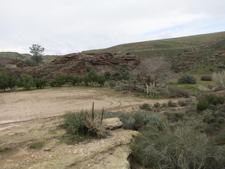 Enlarge photo 9
