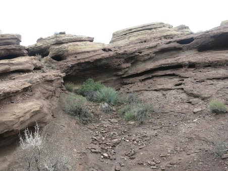 Enlarge photo 12