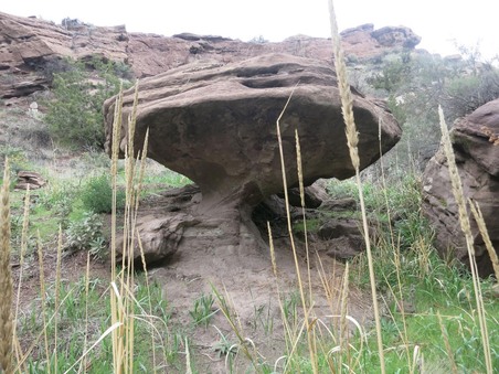 Enlarge photo 35