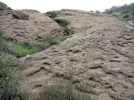 Enlarge photo 37