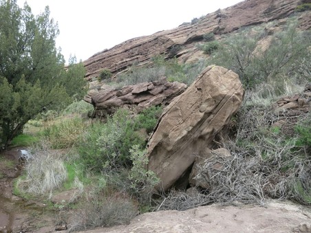Enlarge photo 39