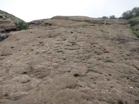 Enlarge photo 40