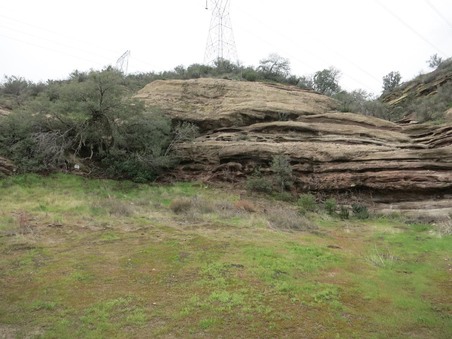 Enlarge photo 51