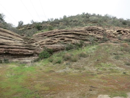 Enlarge photo 53