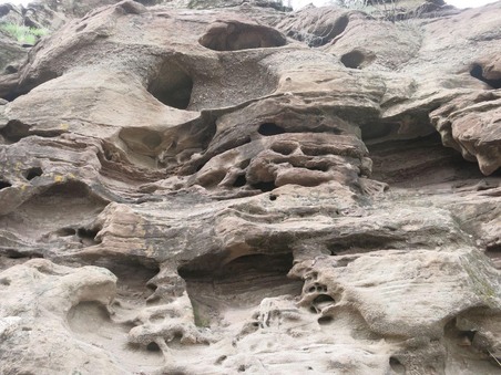 Enlarge photo 61