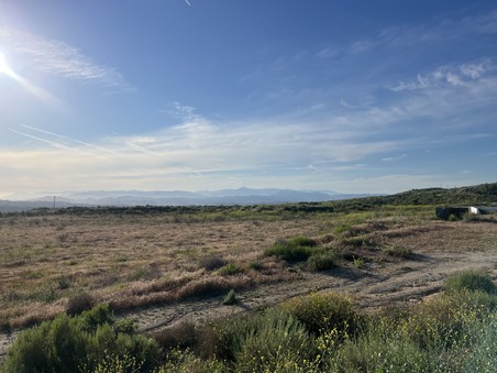 Enlarge photo 29
