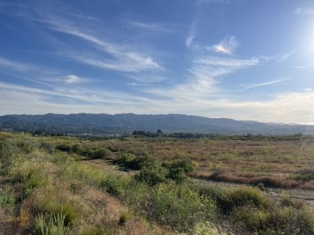 Enlarge photo 30