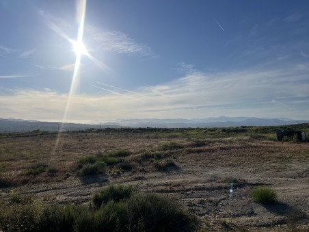 Enlarge photo 40