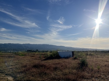 Enlarge photo 45