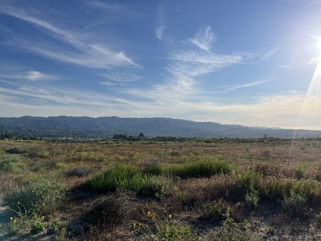 Enlarge photo 36