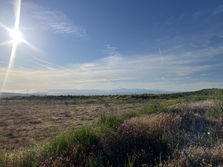 Enlarge photo 41