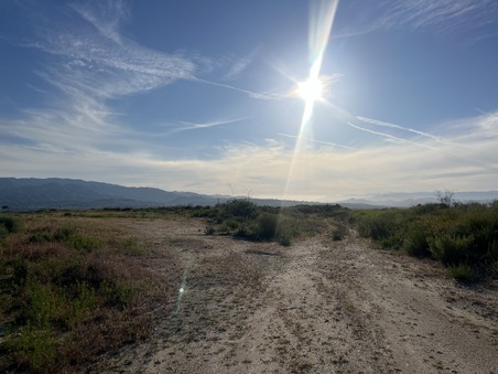 Enlarge photo 37