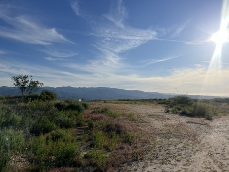 Enlarge photo 38