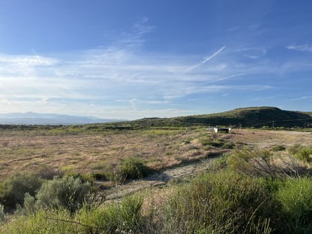 Enlarge photo 25