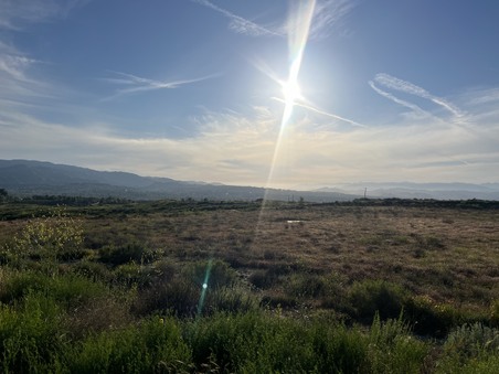 Enlarge photo 42