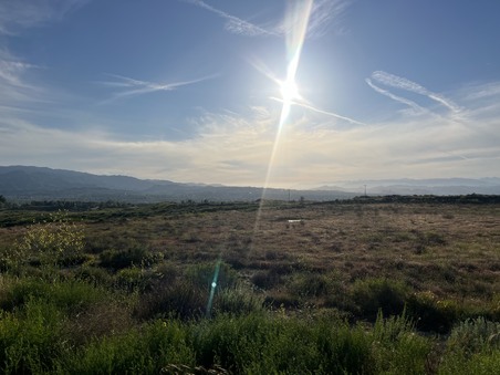 Enlarge photo 43