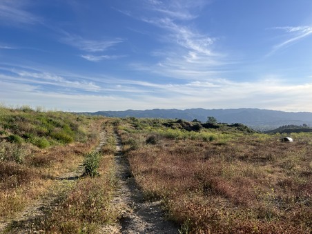 Enlarge photo 26