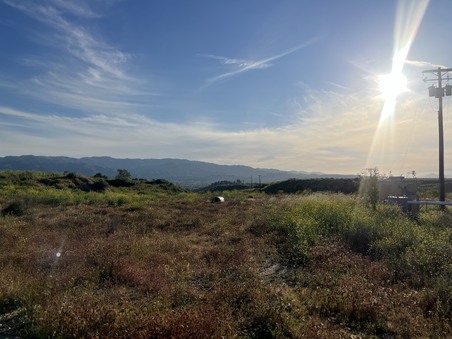 Enlarge photo 32