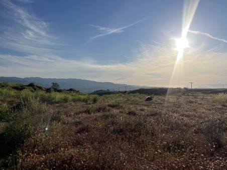 Enlarge photo 39