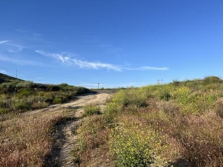 Enlarge photo 5