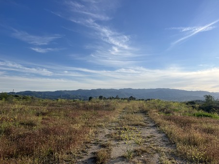 Enlarge photo 33