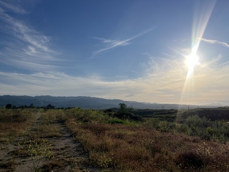 Enlarge photo 46