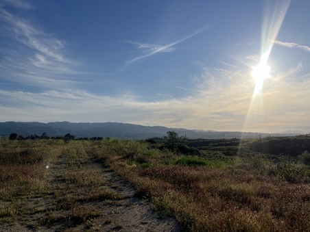 Enlarge photo 47