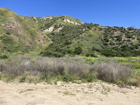 Bluecloud Ranch 