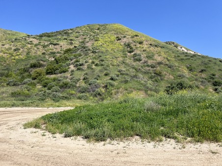 Enlarge photo 3