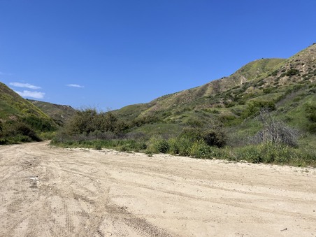 Enlarge photo 32
