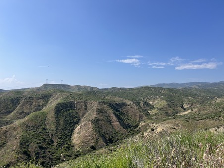 Enlarge photo 42