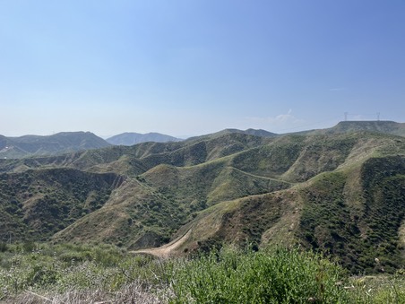 Enlarge photo 43